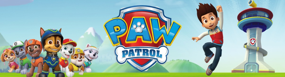 Image of Ryder Paw Patrol party entertainer at Paw Patrol party in Sydney