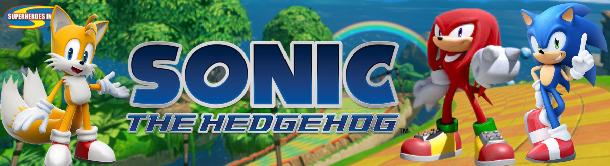 Sonic the Hedgehog Banner Kids Parties Sydney